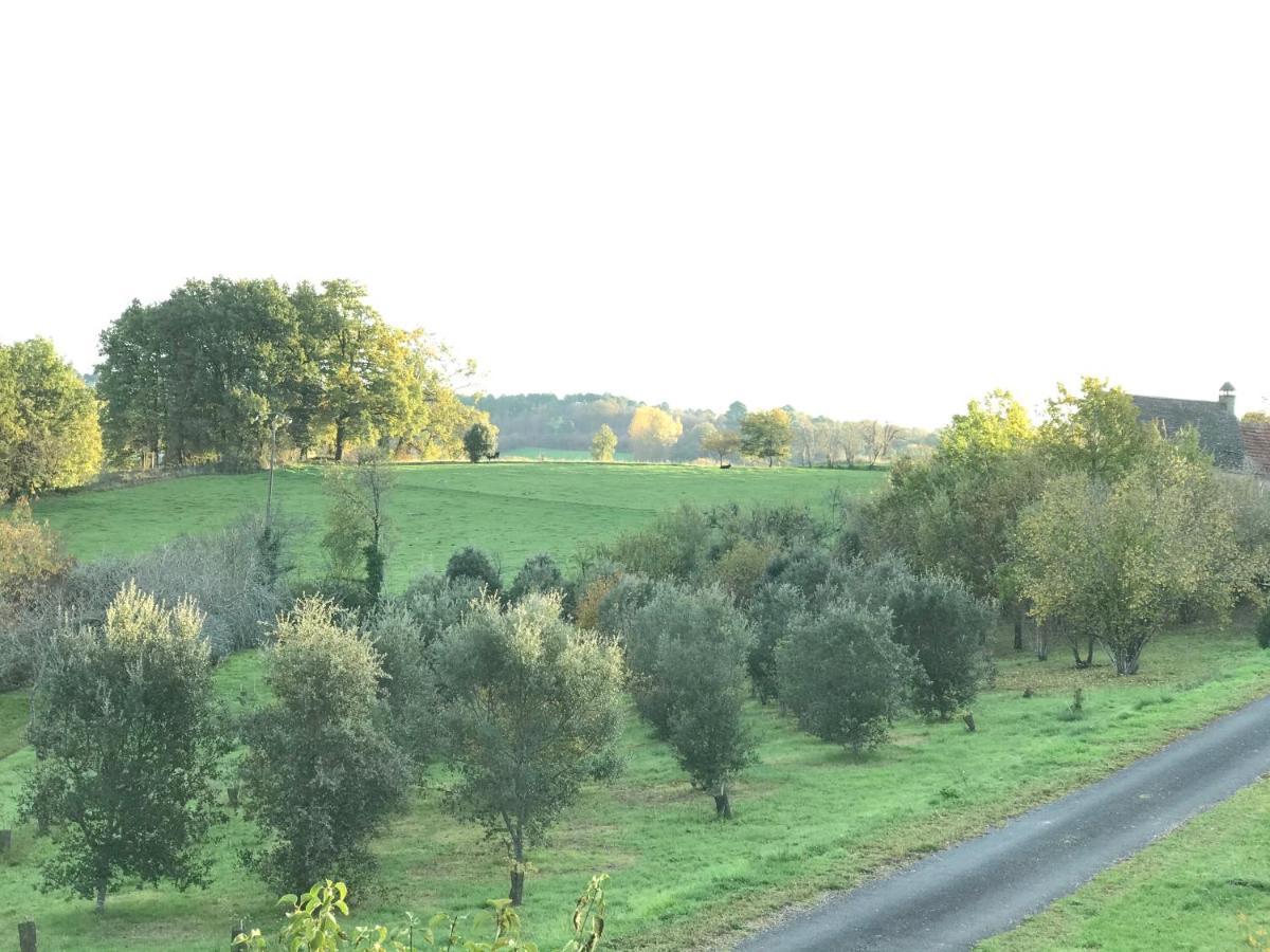 Les Cedres Du Linard, Chambres D'Hotes B&B Near Lascaux, Montignac, Sarlat-La-Caneda, Dordogne La Chapelle-Aubareil Экстерьер фото