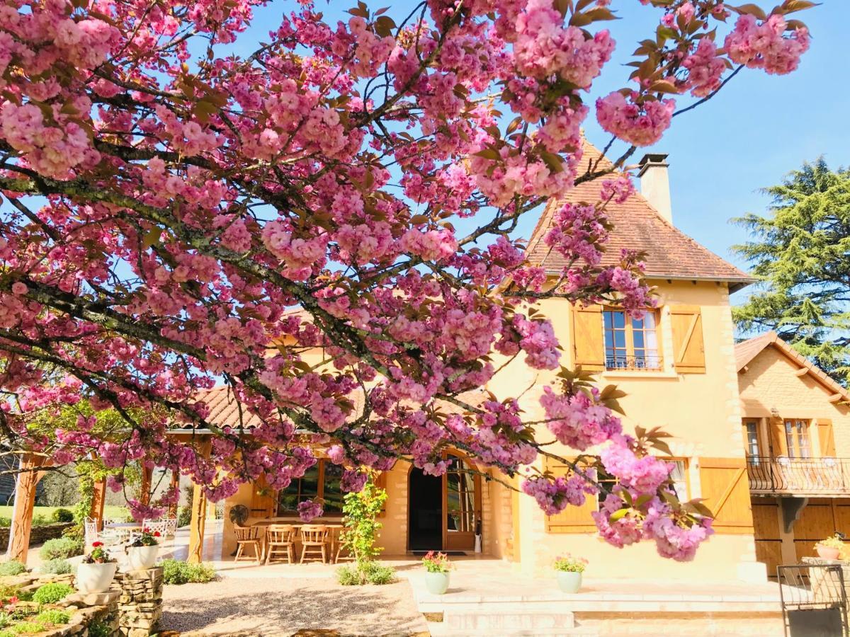 Les Cedres Du Linard, Chambres D'Hotes B&B Near Lascaux, Montignac, Sarlat-La-Caneda, Dordogne La Chapelle-Aubareil Экстерьер фото