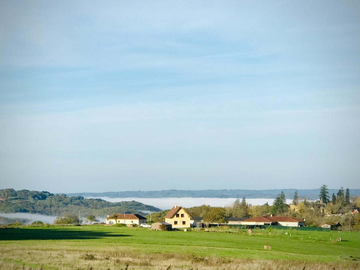 Les Cedres Du Linard, Chambres D'Hotes B&B Near Lascaux, Montignac, Sarlat-La-Caneda, Dordogne La Chapelle-Aubareil Экстерьер фото